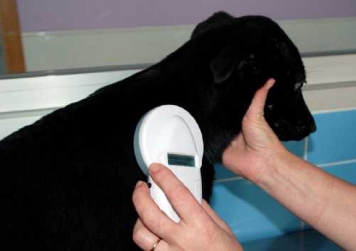 Operadores Renac 12 Dic.25