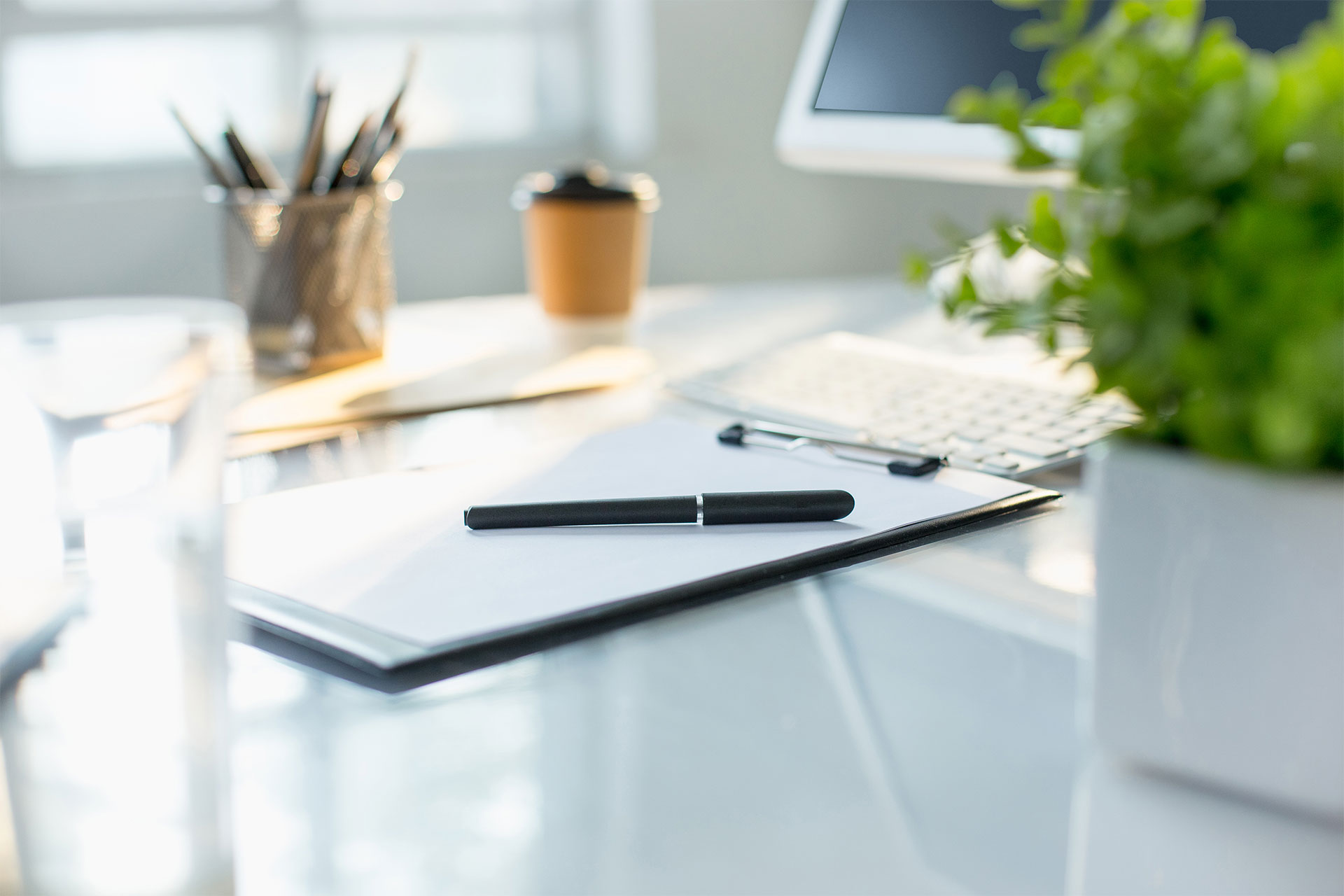 Campus Virtual MGAP